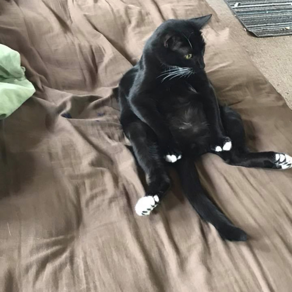 About me! - Picture 5 of 8